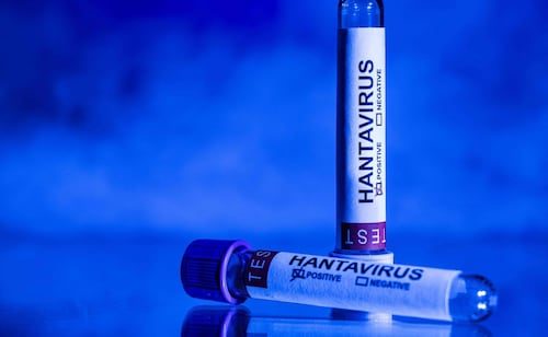 Chile declara alerta sanitaria preventiva por hantavirus; autoridades descartan una epidemia en curso