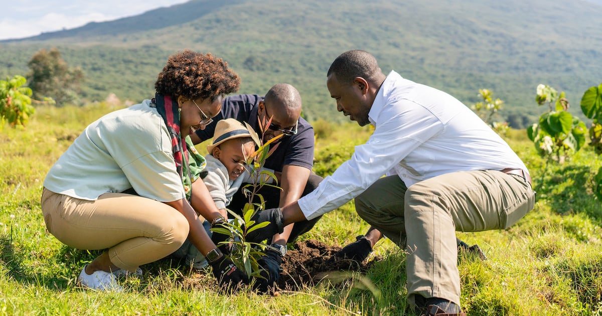 Conservación en África: por qué el desarrollo de las comunidades se ha vuelto clave para proteger la biodiversidad