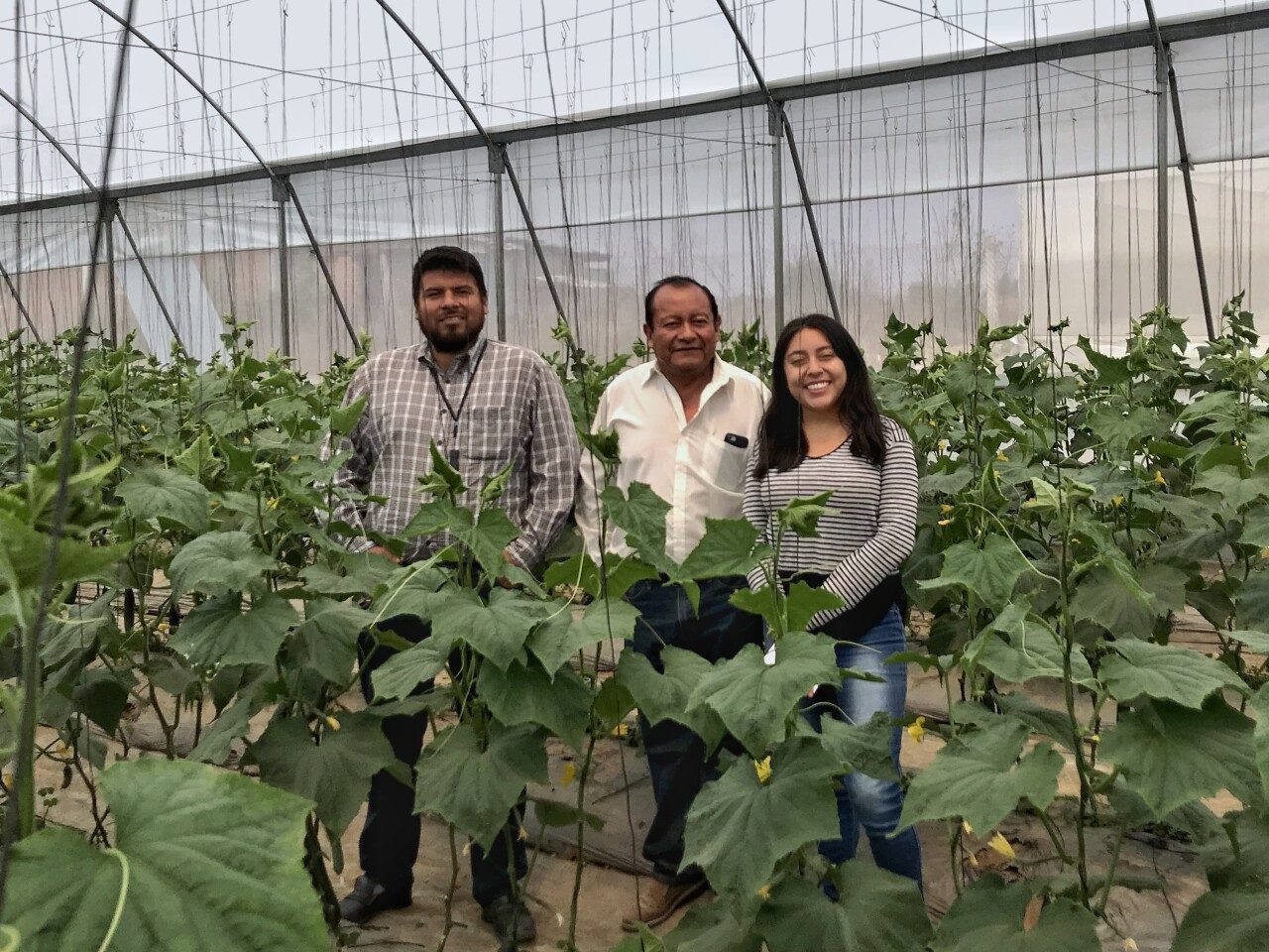 Earth-IoT: La startup mexicana que quiere convertirse en el Uber del campo