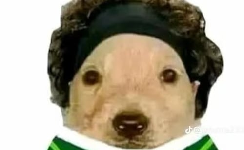 El final de la FIFA y el retiro de Guillermo Ochoa, en los memes de la semana