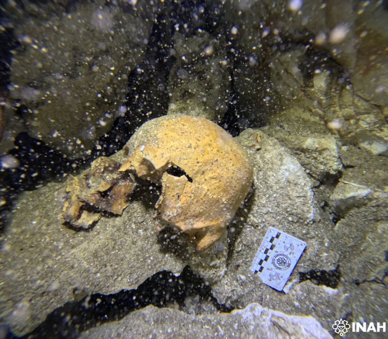 Encuentran a Yatzil, una mujer prehispánica en el «cenote del amor» cerca de Playa del Carmen