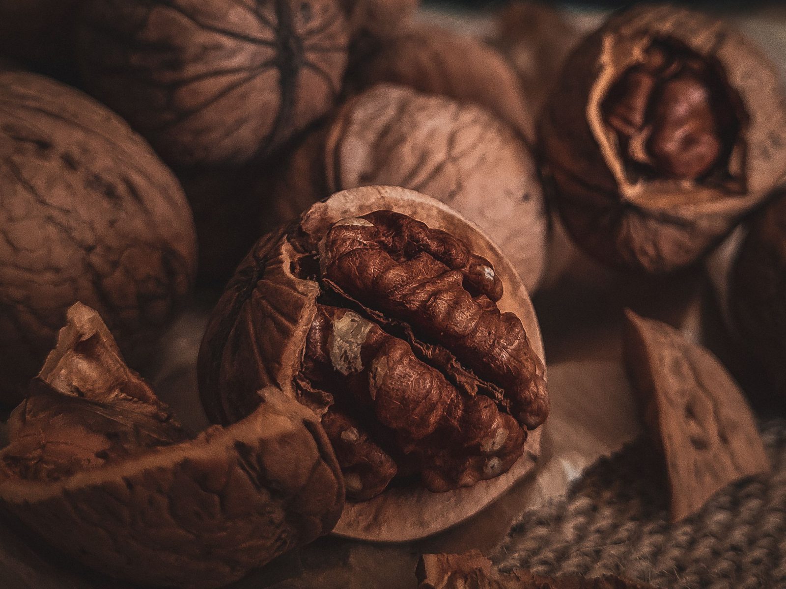 Ingredientes originales del Chile en Nogada y dónde conseguirlos en Puebla