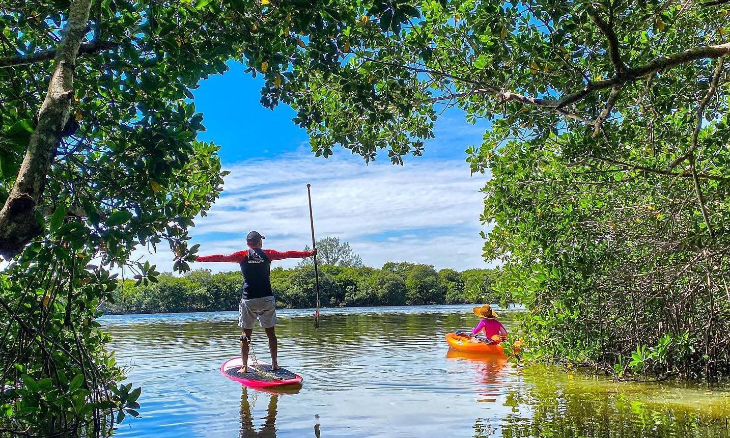 Laguna de Mandinga, lugar de ostiones frescos y túneles de manglar