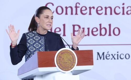Sheinbaum alista liberación de moscas contra gusano barrenador en las próximas semanas; iniciará en Tamaulipas