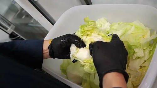 Tras caso de lechuga mexicana en EU, piden aumentar presupuesto en sanidad; inocuidad debe considerarse "asunto de seguridad nacional"