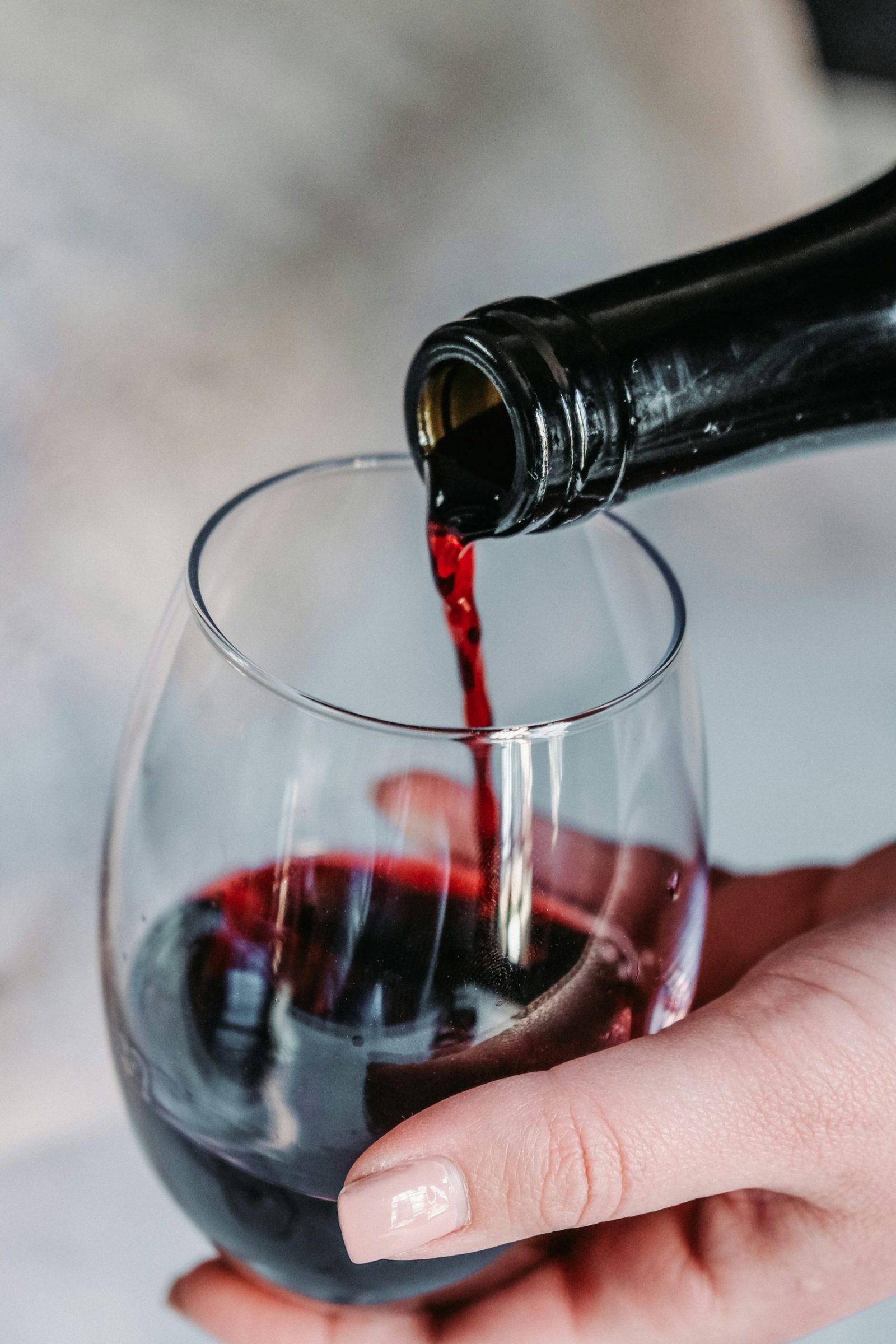 Vendimias en México 2026: guía para disfrutar la temporada de vino