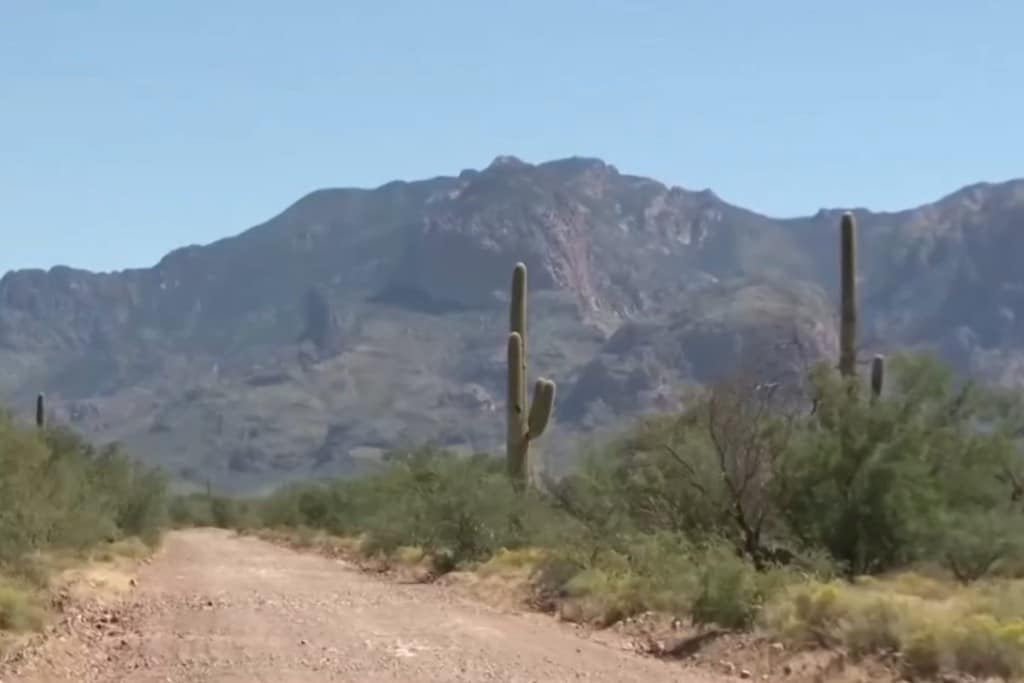 73 migrantes han muerto en el desierto de Arizona en lo que va de 2026