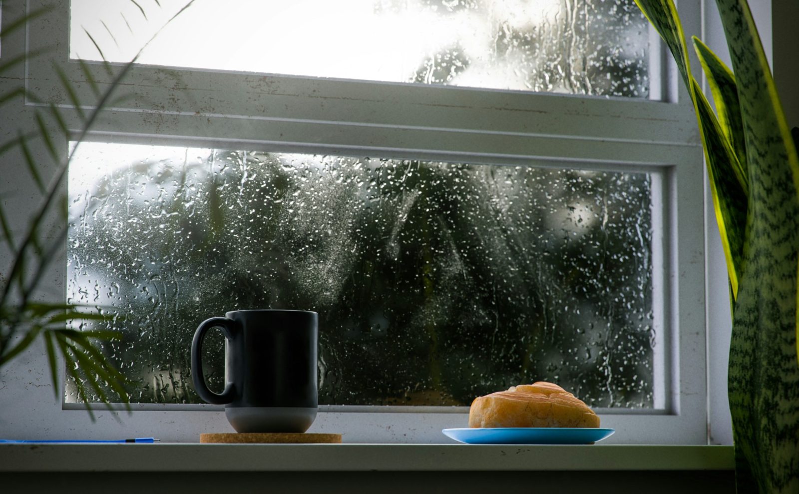 9 cafeterías en Puebla más originales para los días de lluvia
