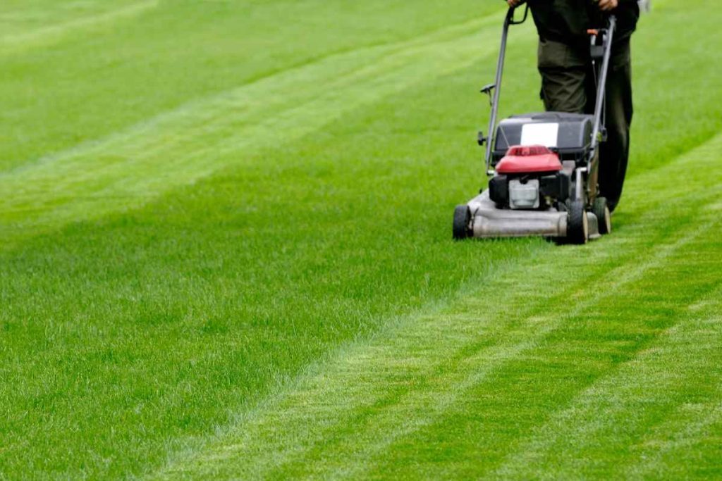 ¡Aplica a este trabajo para migrantes en Utah para ser jardinero! Te dan 20 dólares por hora