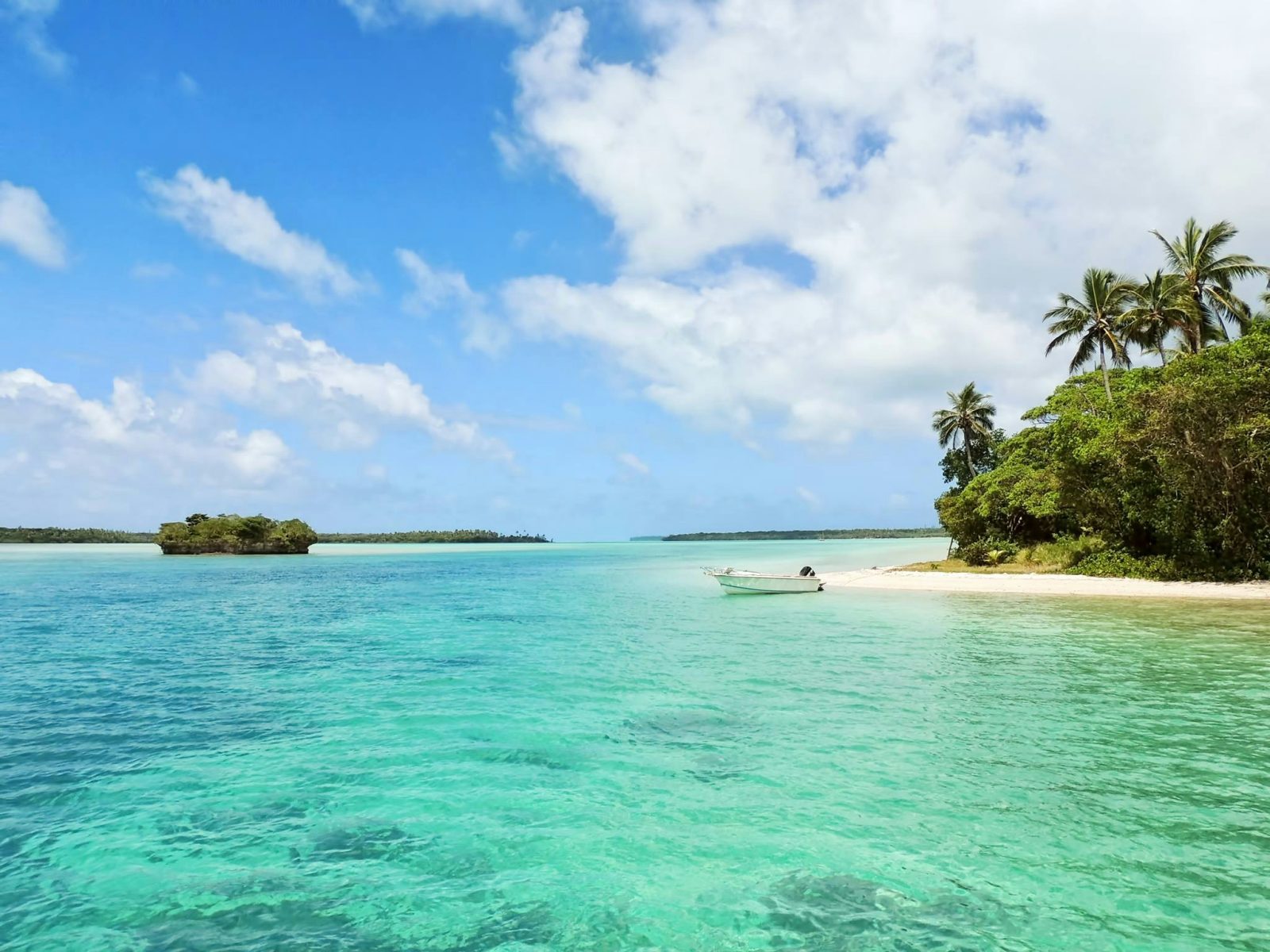 Así son las mejores playas de Jamaica que enamoran a los turistas