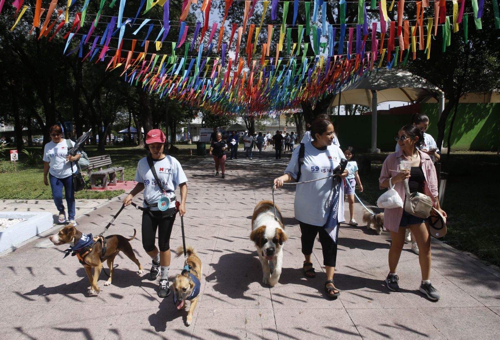 Clima en Nuevo León: Calor con hasta 39°C para el jueves 13 de agosto