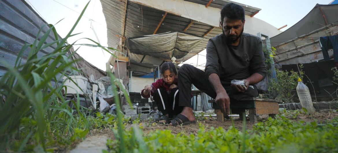 El otro genocidio: la destrucción de tierras agrícolas en Gaza
