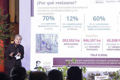 Enrique Galván Ochoa: Dinero