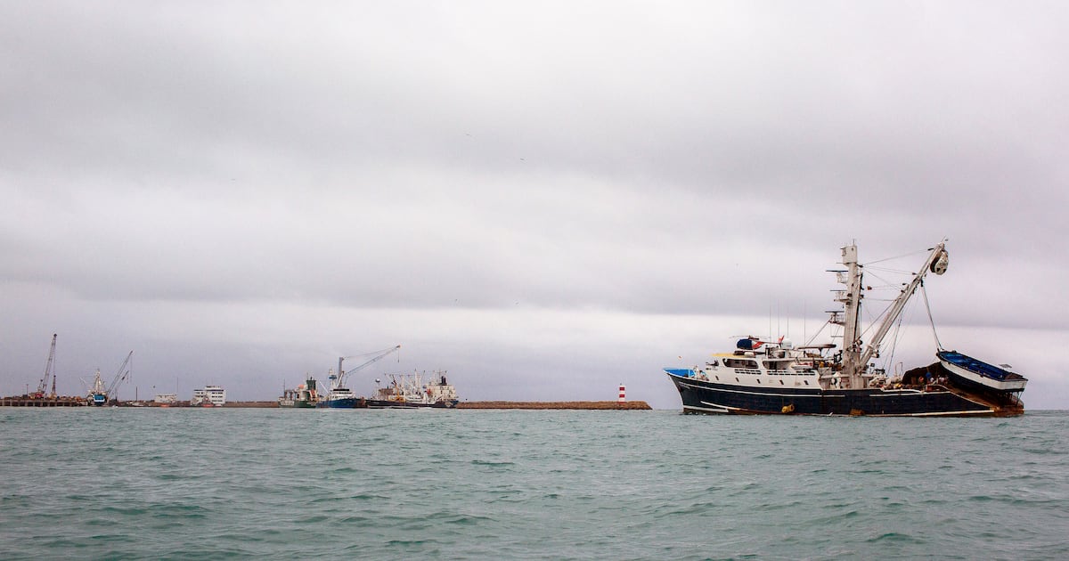 EU sanciona a barcos de Ecuador... por tráfico de cocaína a México: ‘Llega al Cártel de Sinaloa y CJNG’