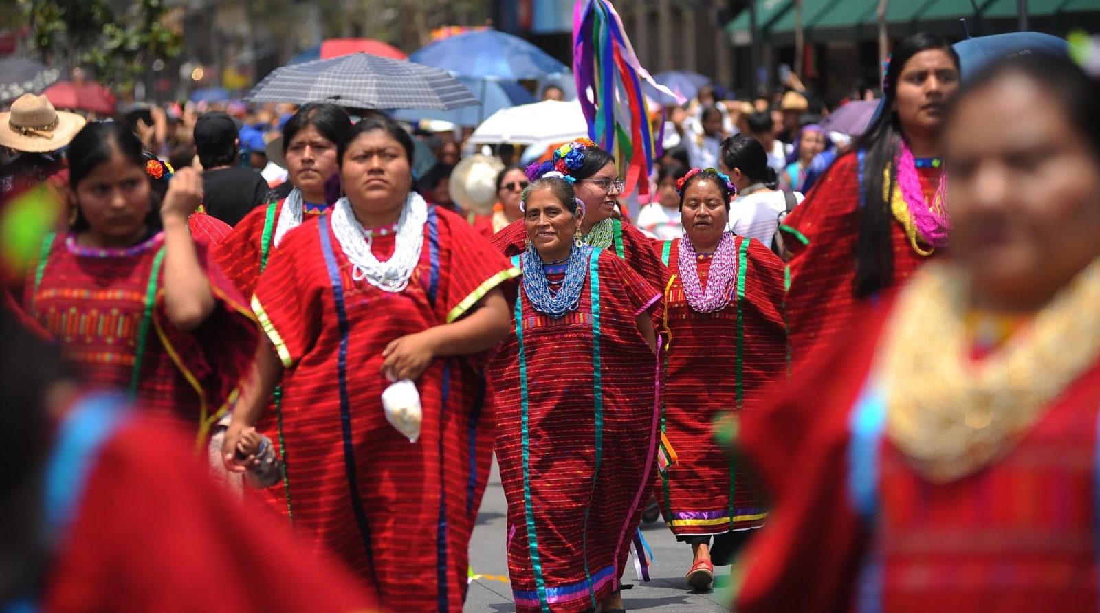 Fiesta de las Culturas Indígenas, Pueblos y Barrios Originarios 2026 en el Zócalo ¡Conoce fechas y horarios!