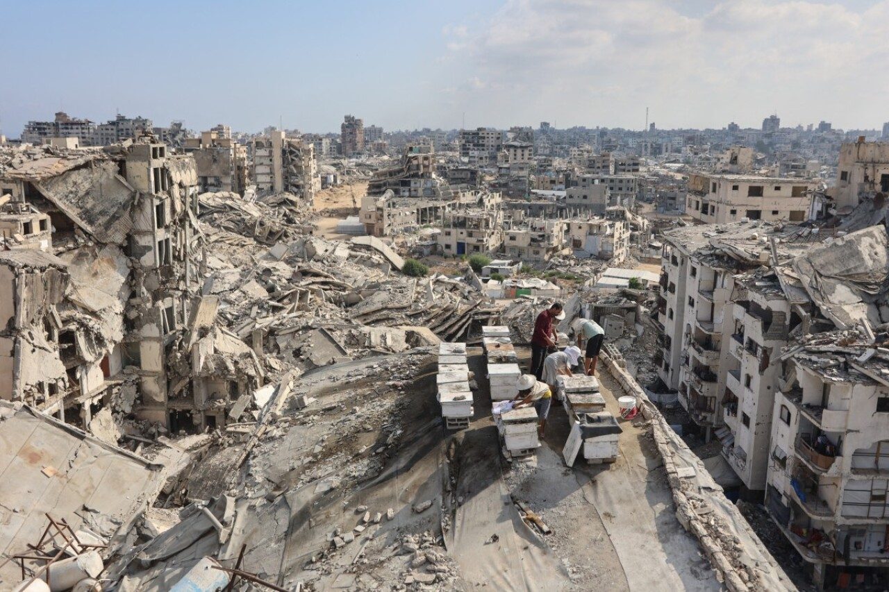 Hamás afirma que sigue dispuesto a avanzar con el plan de paz para Gaza