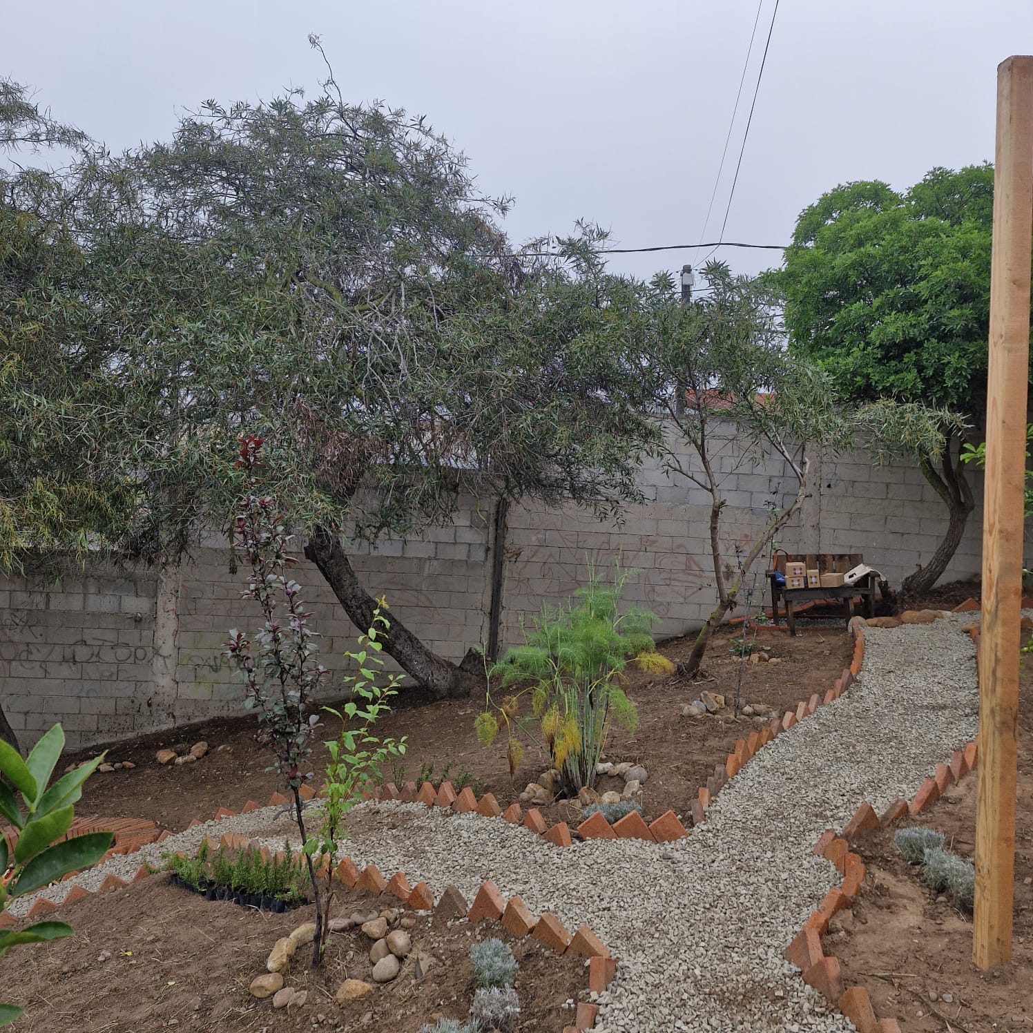 Ichi Jaa, un jardín botánico que crece en una comunidad mixteca-zapoteca en Tijuana