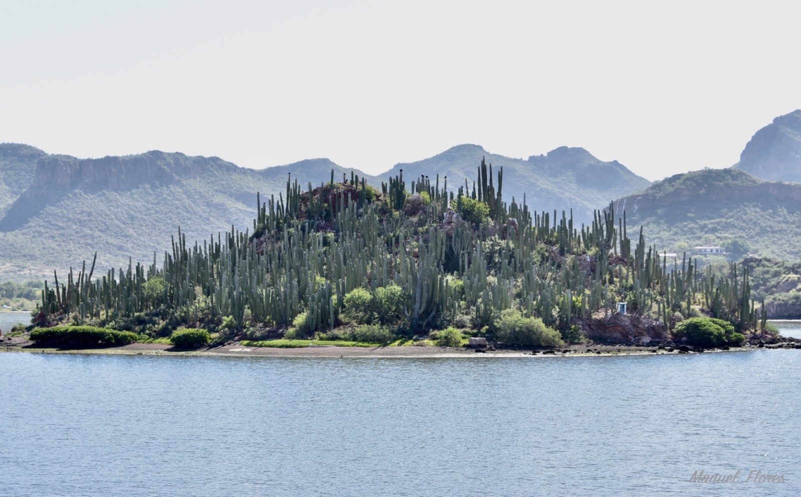 Islas Mellizas: dos bosques de cactus rodeados de agua