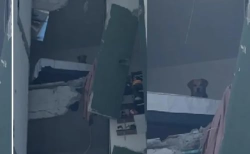 Kiara, la imagen que dio la vuelta al mundo; perrita atrapada tras terremoto en Colombia llevaba 4 días de ser adoptada