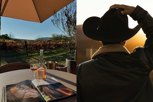 Lánzate a la vendimia de estilo vaquero en un viñedo de Querétaro