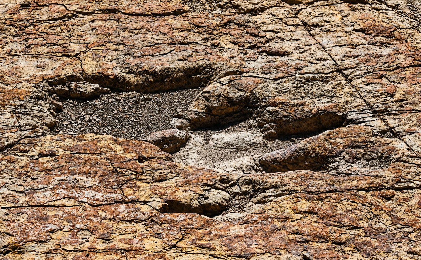 Más de 200 huellas de dinosaurio permanecen marcadas en este rincón de Coahuila