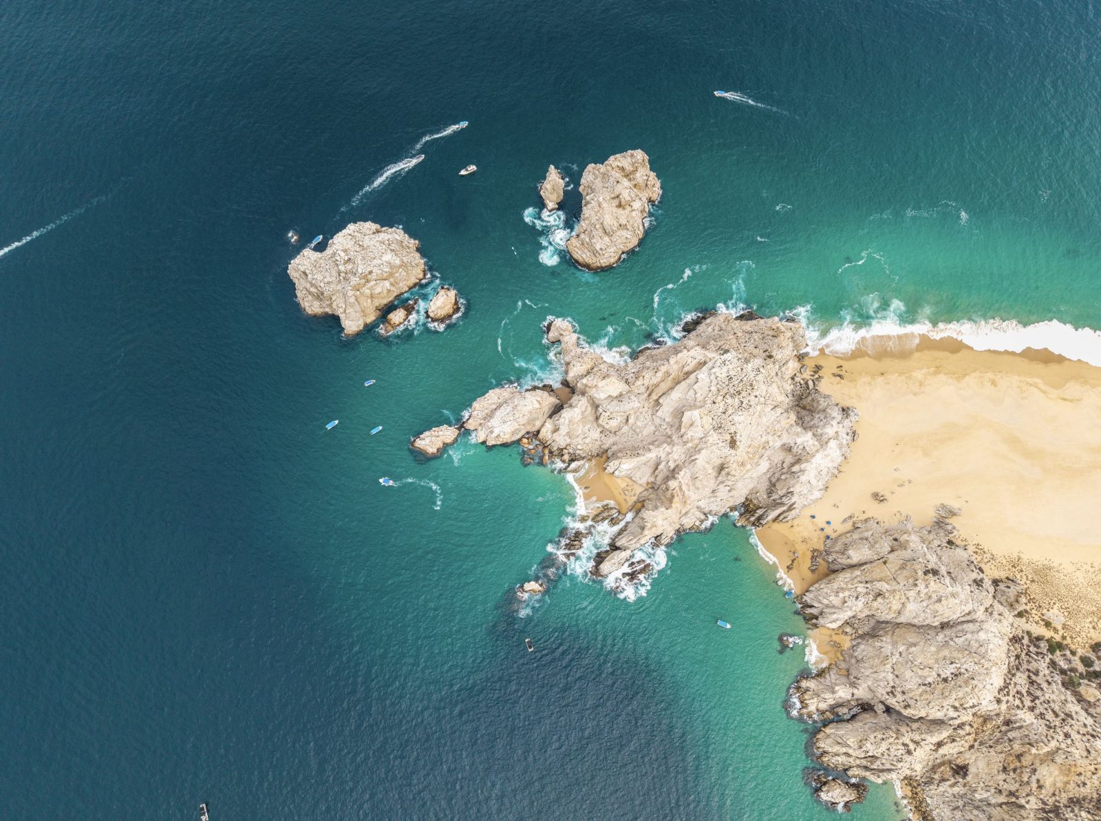 Pesca deportiva en Cabo San Lucas, así se vivió el PFG Challenge 2026
