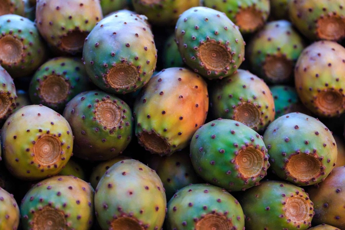 Viejitas, la receta de Guanajuato que convirtió las tunas secas en un platillo tradicional