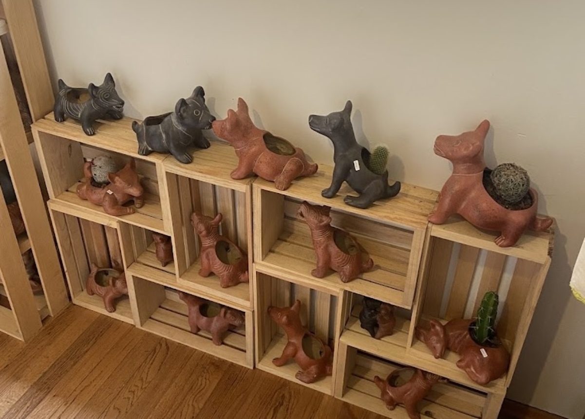 Xolito Mío y Coatlicue Arte, aquí encontrarás xoloitzcuintles de todas formas y tamaños