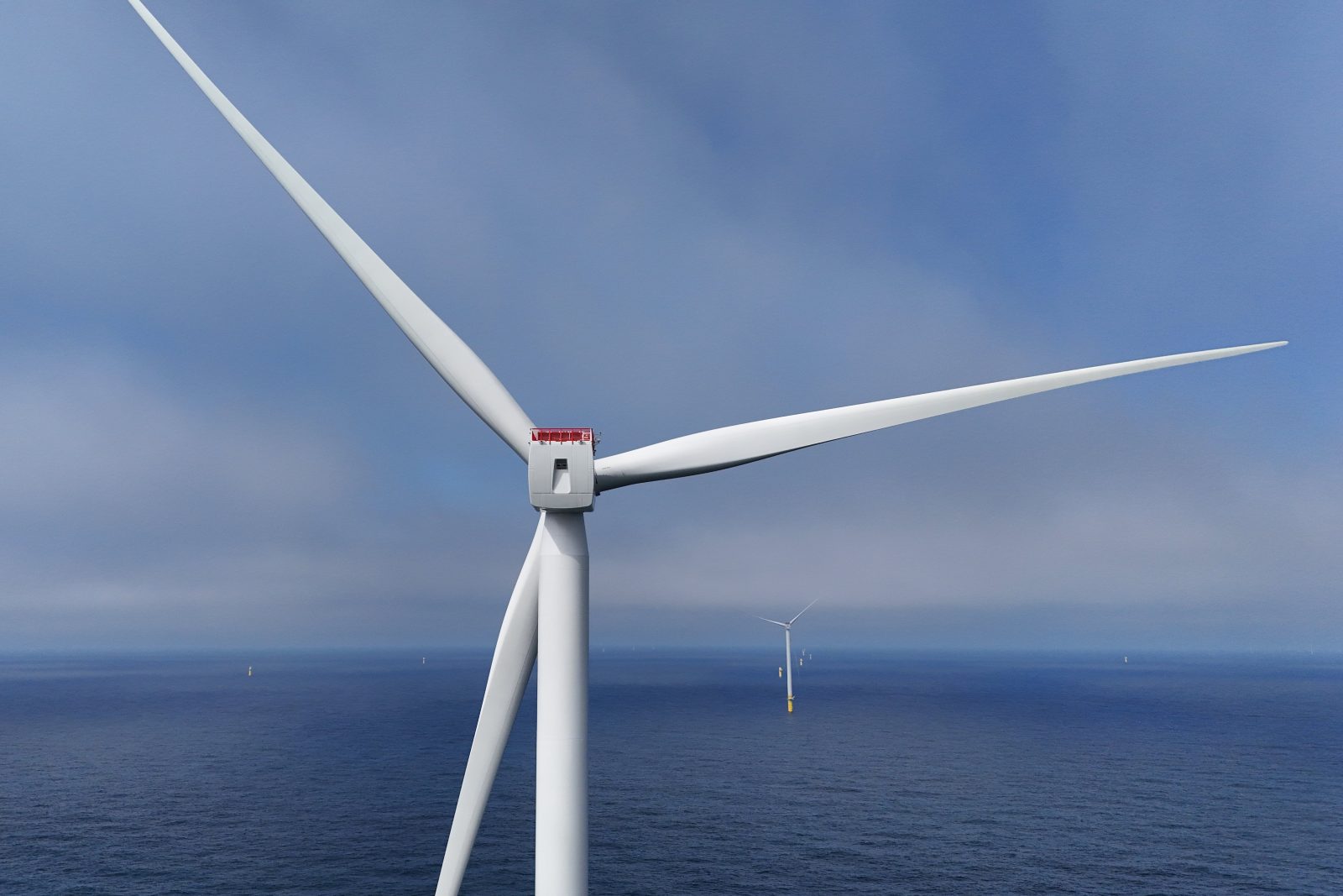California y Nueva York demandan a Trump por trabar proyectos de energía eólica marina