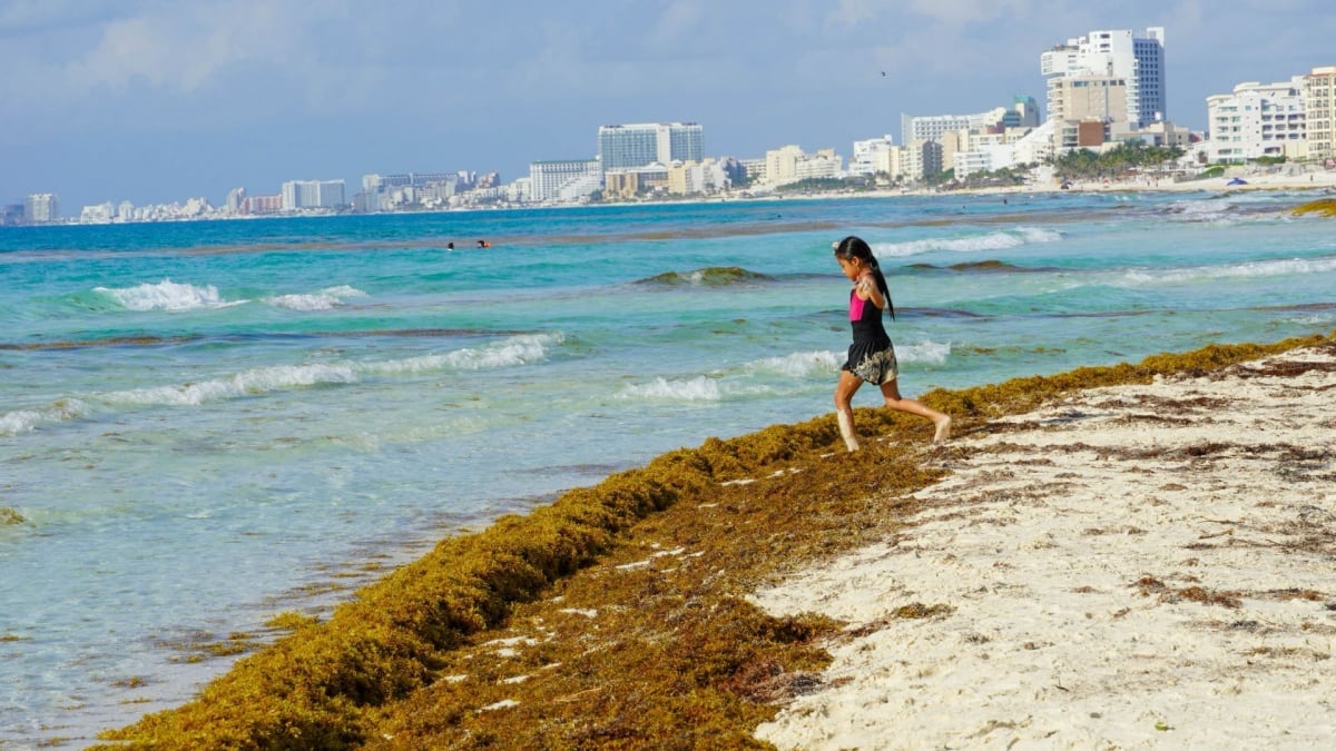 Calor extremo ‘calentará’ la Península de Yucatán este jueves 1 de octubre; también esperan lluvias