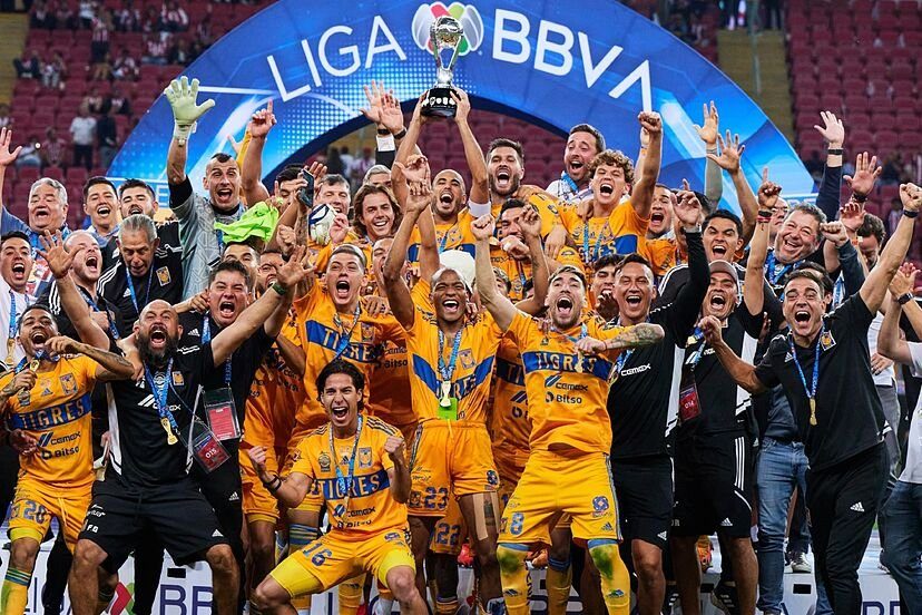 ¿Cómo se compone la estructura del torneo usada en la Liga MX?