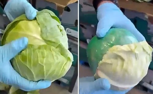 Decomisan 907 kilos de metanfetamina en Texas; aparentaban ser coles