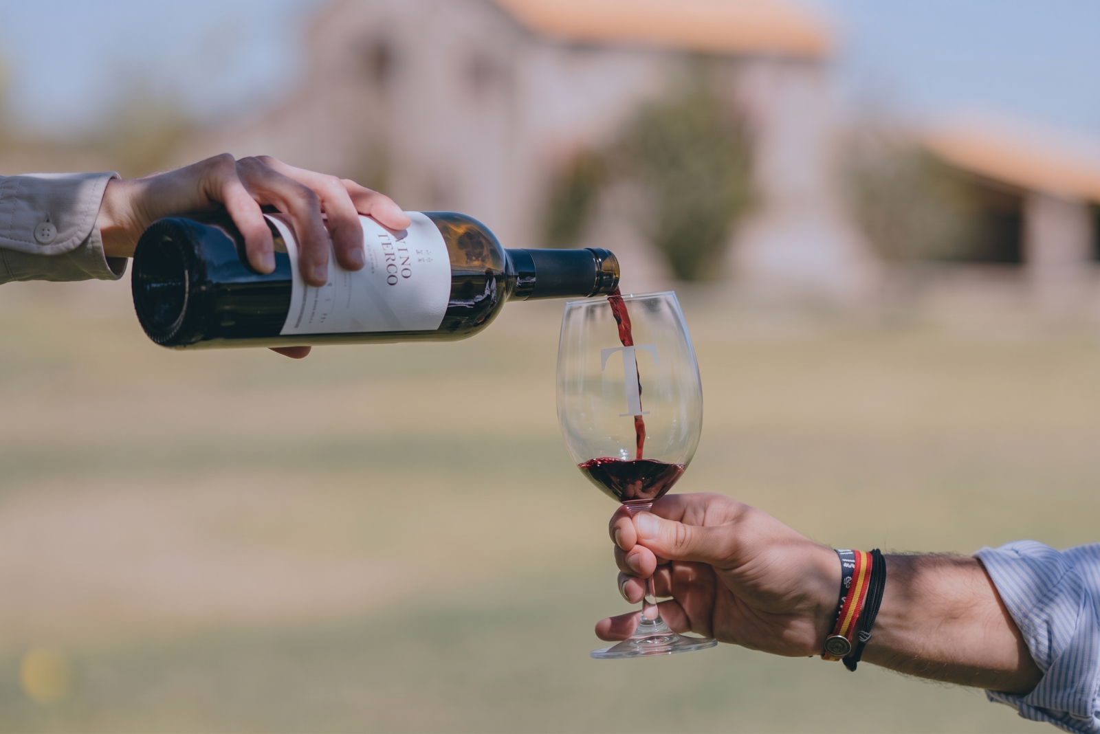 El vino de Querétaro se convierte en arte, sabor y fiesta en el viñedo La Terquedad