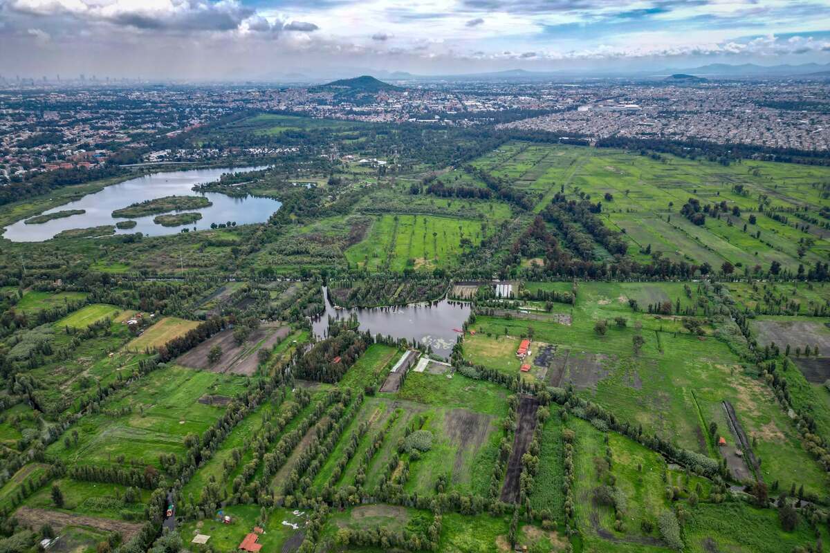 Fundación Kalmekak, proyecto que busca devolver la vida a las chinampas de Xochimilco