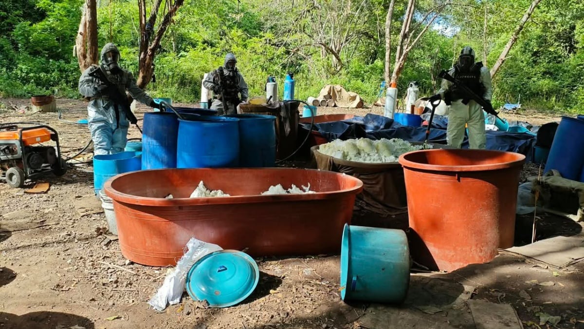 Harfuch da golpe al narco: Desmantelan 4 laboratorios en Michoacán y Guerrero