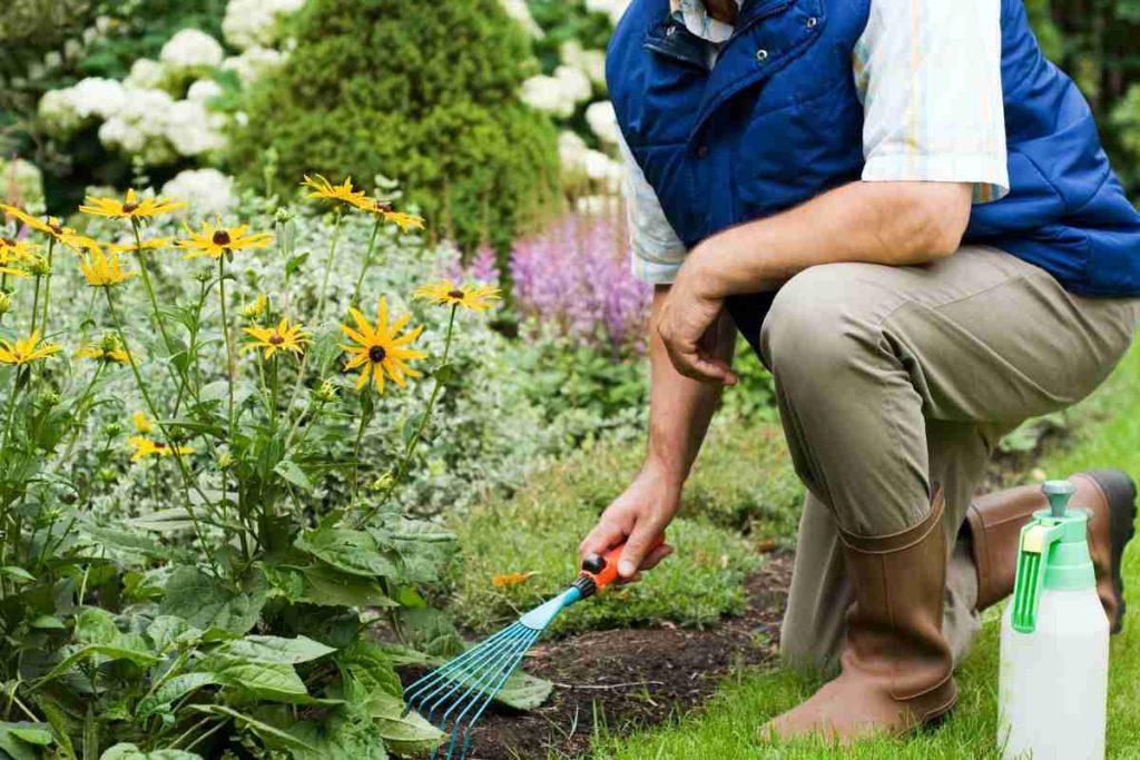 ¡Hay trabajo en Canadá para mexicanos! Aplica para ser ayudante de jardinero por 220 pesos por hora