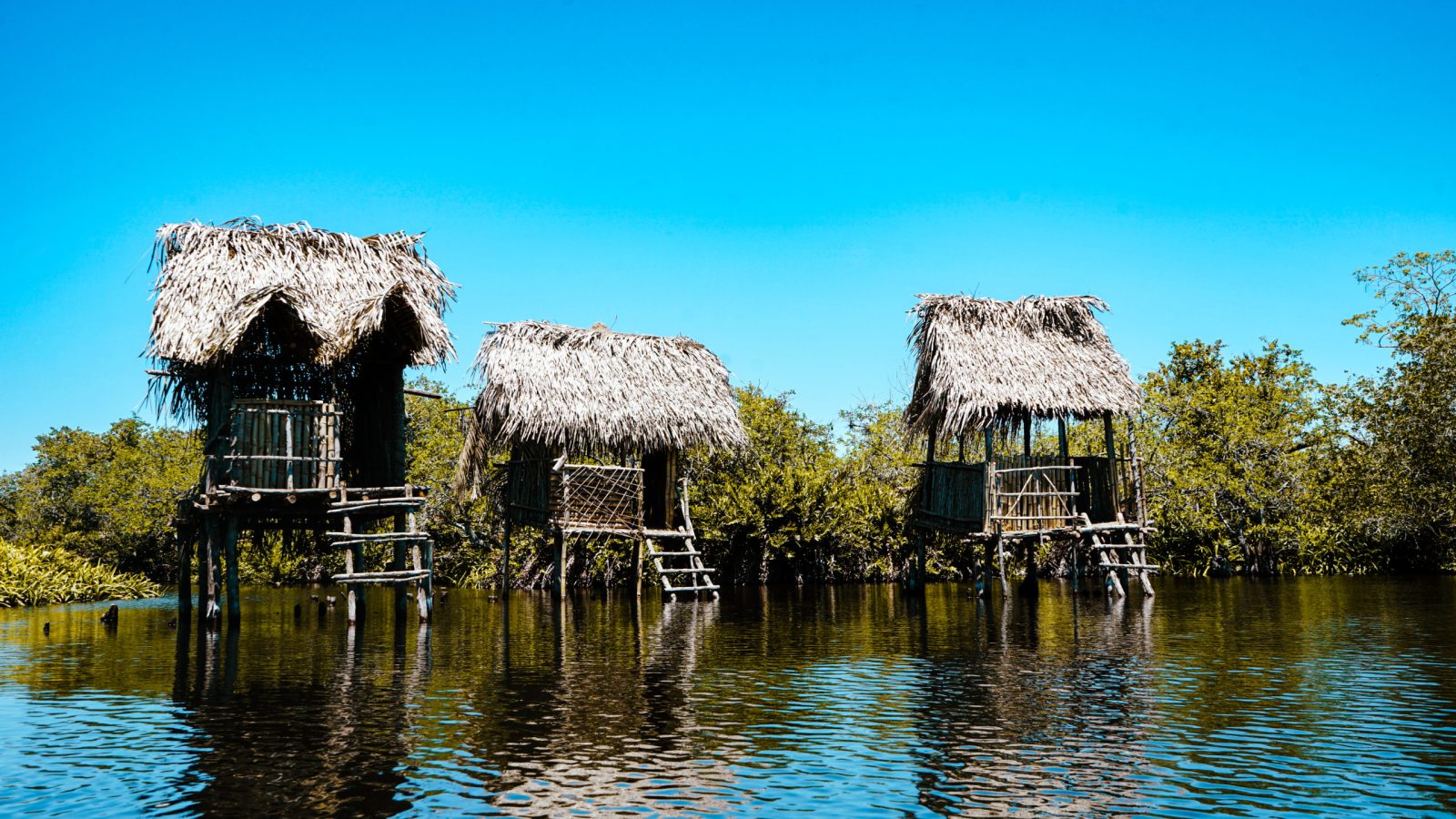 La Tovara, Nayarit: recorrido por manglares y fauna