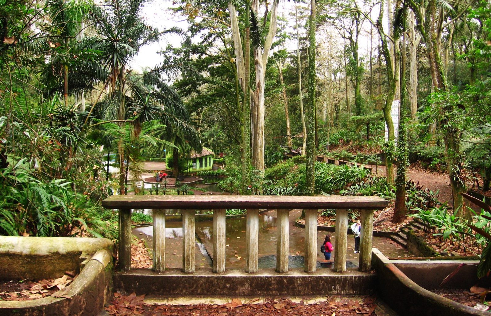 Los Tecajetes, el parque de Xalapa donde todavía brota agua de manantial
