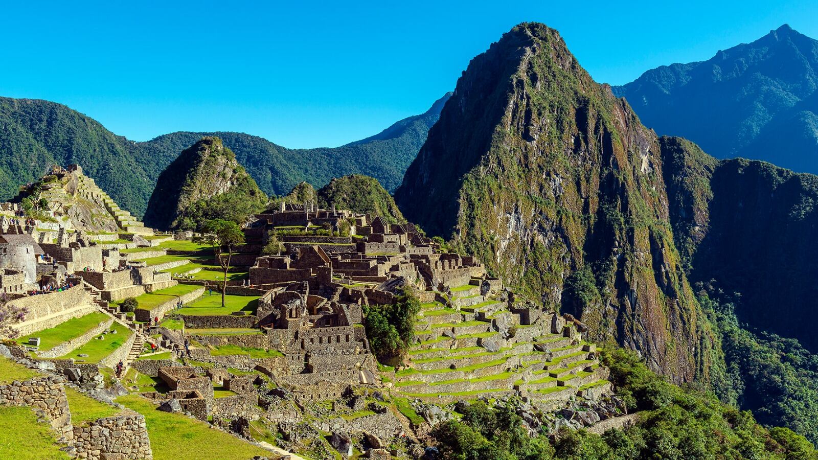 Muere turista mexicano en Machu Picchu tras sufrir una descompensación
