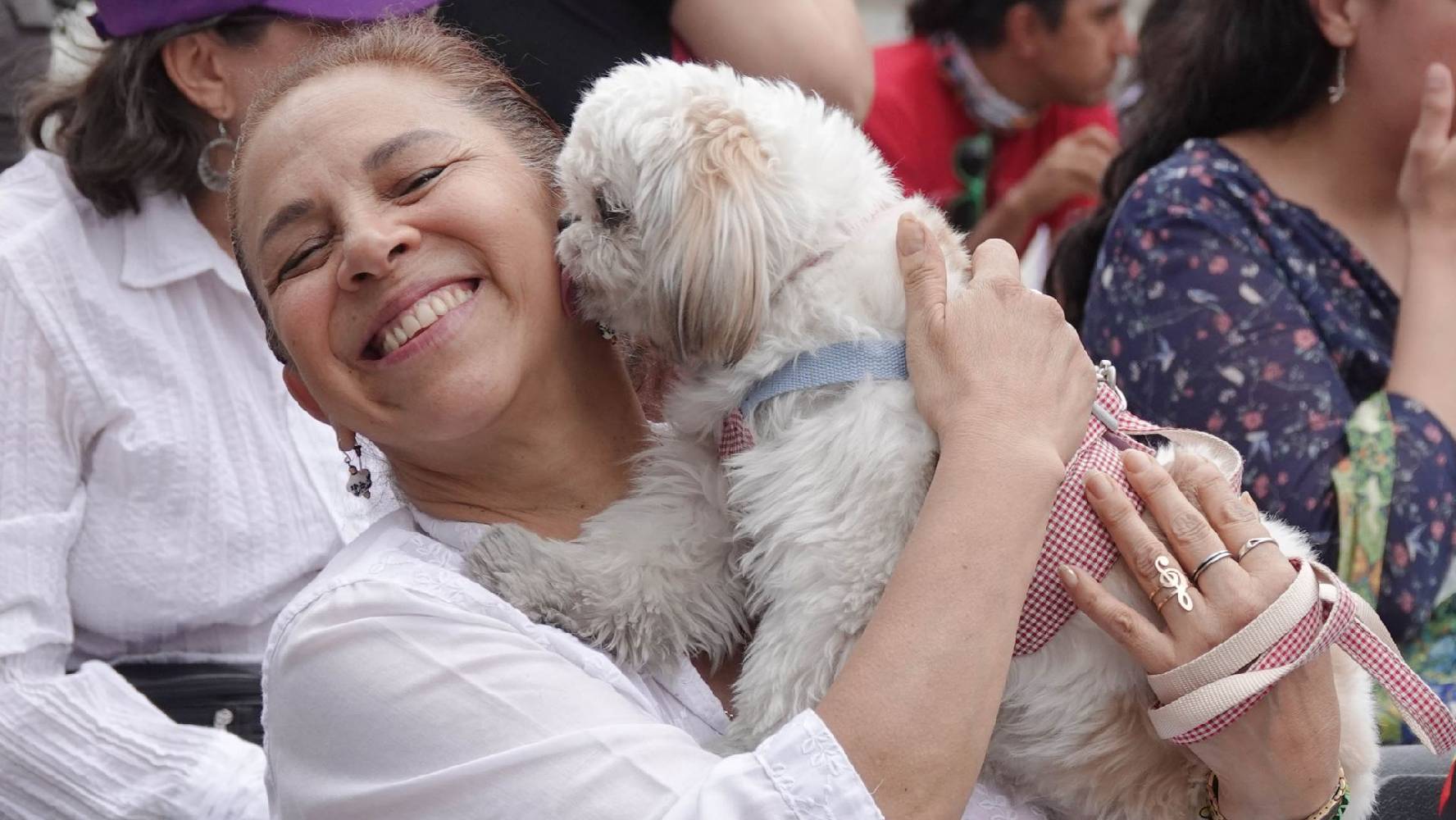 ¿Podrás faltar al trabajo si muere tu mascota? Morena propone 3 días de permiso para honrar a Firulais