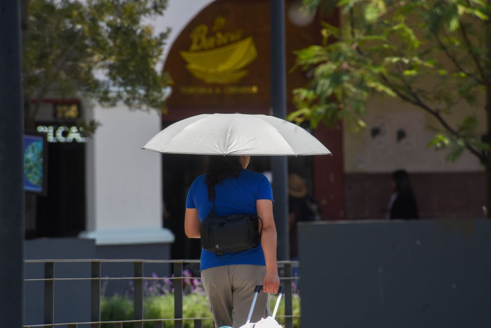 Sal con sombrilla: Nuevo León espera hasta 38°C el jueves 3 de septiembre