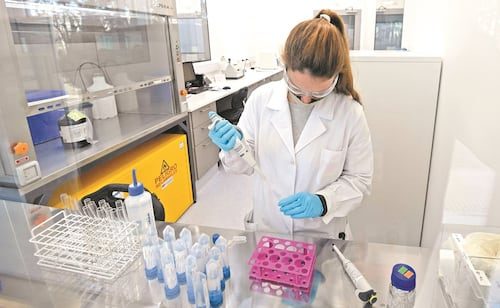 T-MEC necesita clúster propio de farmacéuticos, considera México ¿Cómo vamos?; plantea impulsar capacidad de producción en la región