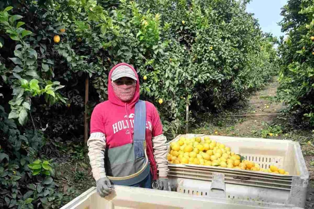 ¿Trabajas en Nueva York? Lanzan oficina para ayudarte a defender tus derechos