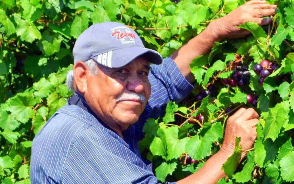Trabajo para migrantes en Nuevo México: Hay vacante como empacador y gana 12 dólares la hora