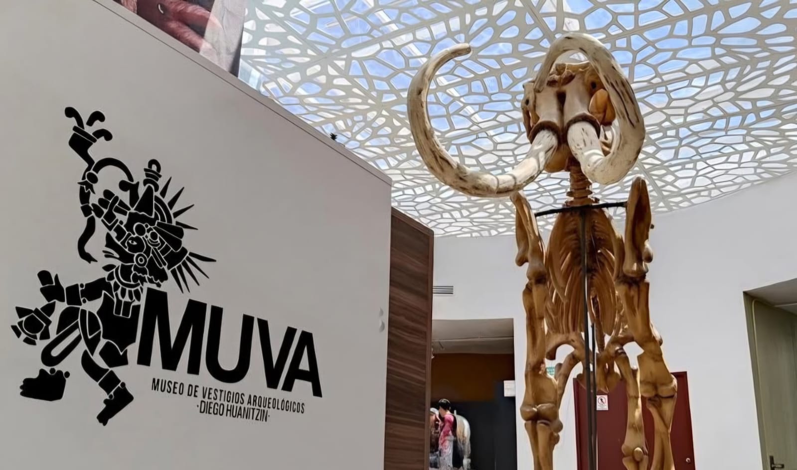Un mamut, un aro de juego de pelota y siglos de historia en un museo de Ecatepec