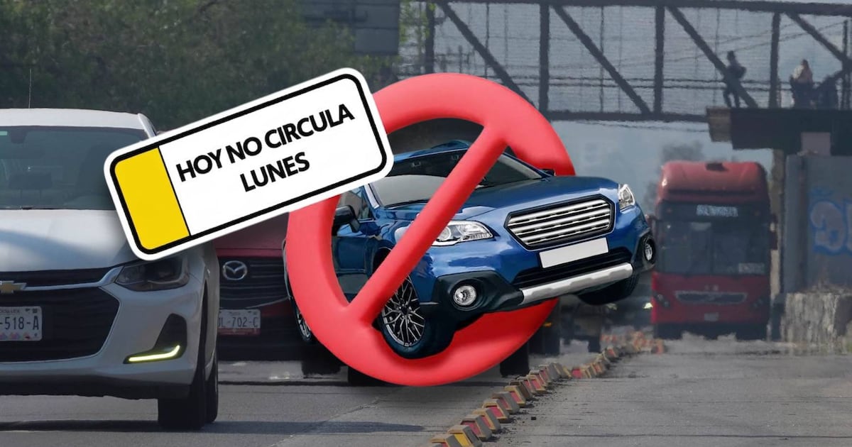 ¿Vas por flores amarillas? Así aplica el Hoy No Circula del lunes 21 de septiembre en CDMX y Edomex