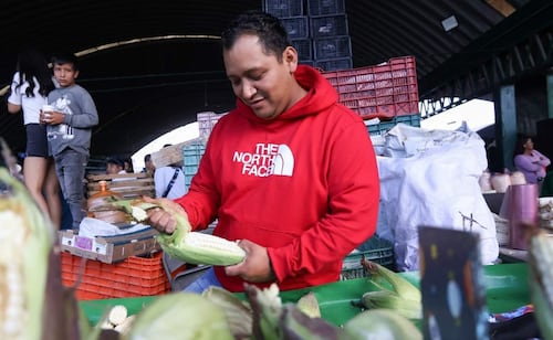 Vivir del maíz durante 60 años: la historia de un negocio familiar; "no existe una mesa mexicana donde no encuentres un elote o un derivado"