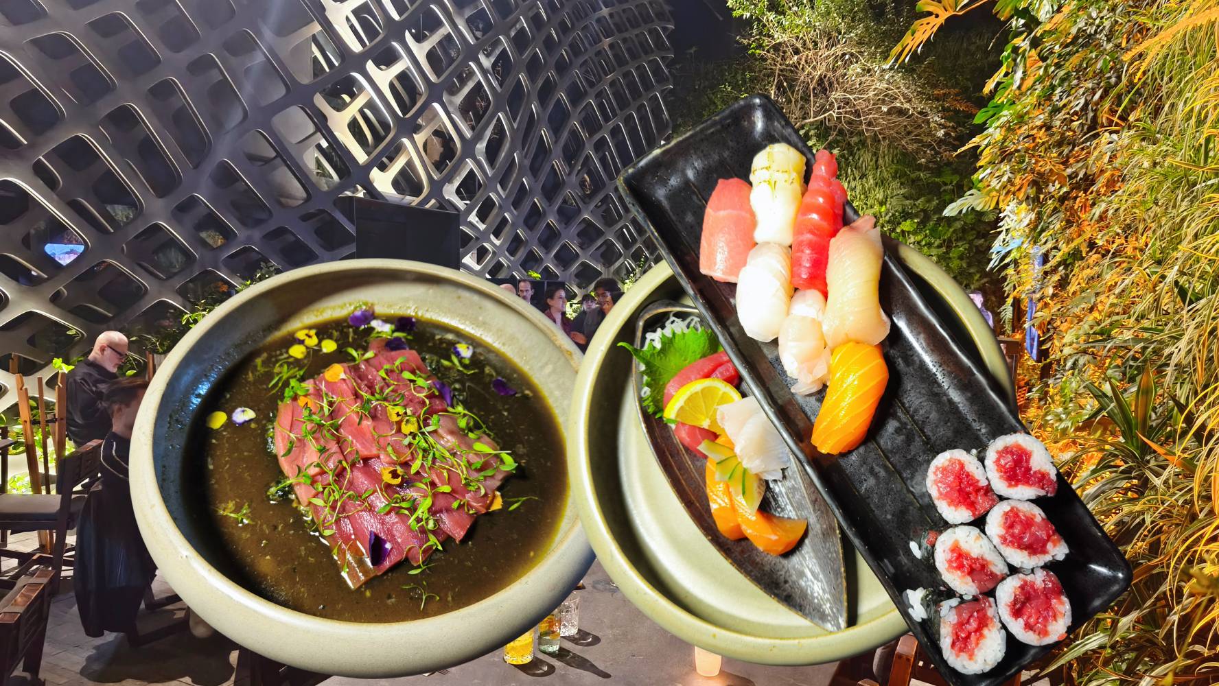 Así es TORI: La renovada barra de sushi que parece un bosque encantado en CDMX