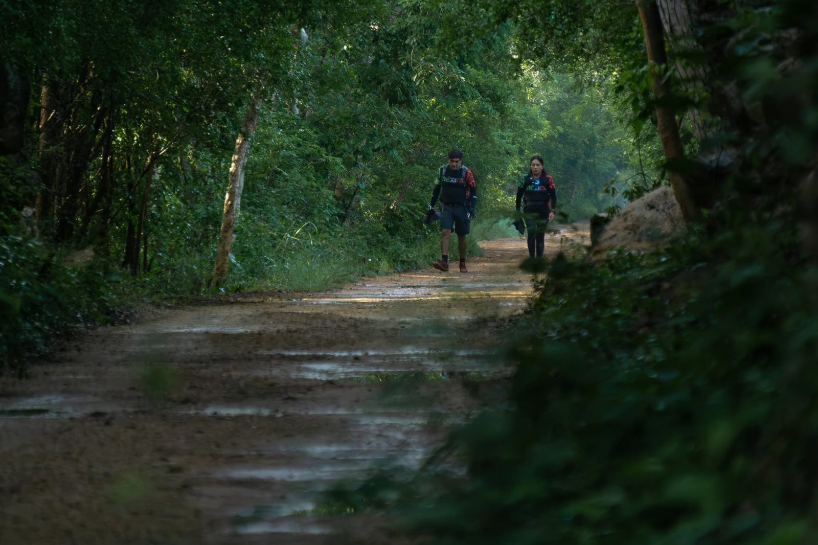 Camino del Mayab: recorre a pie por la historia del henequén en Yucatán
