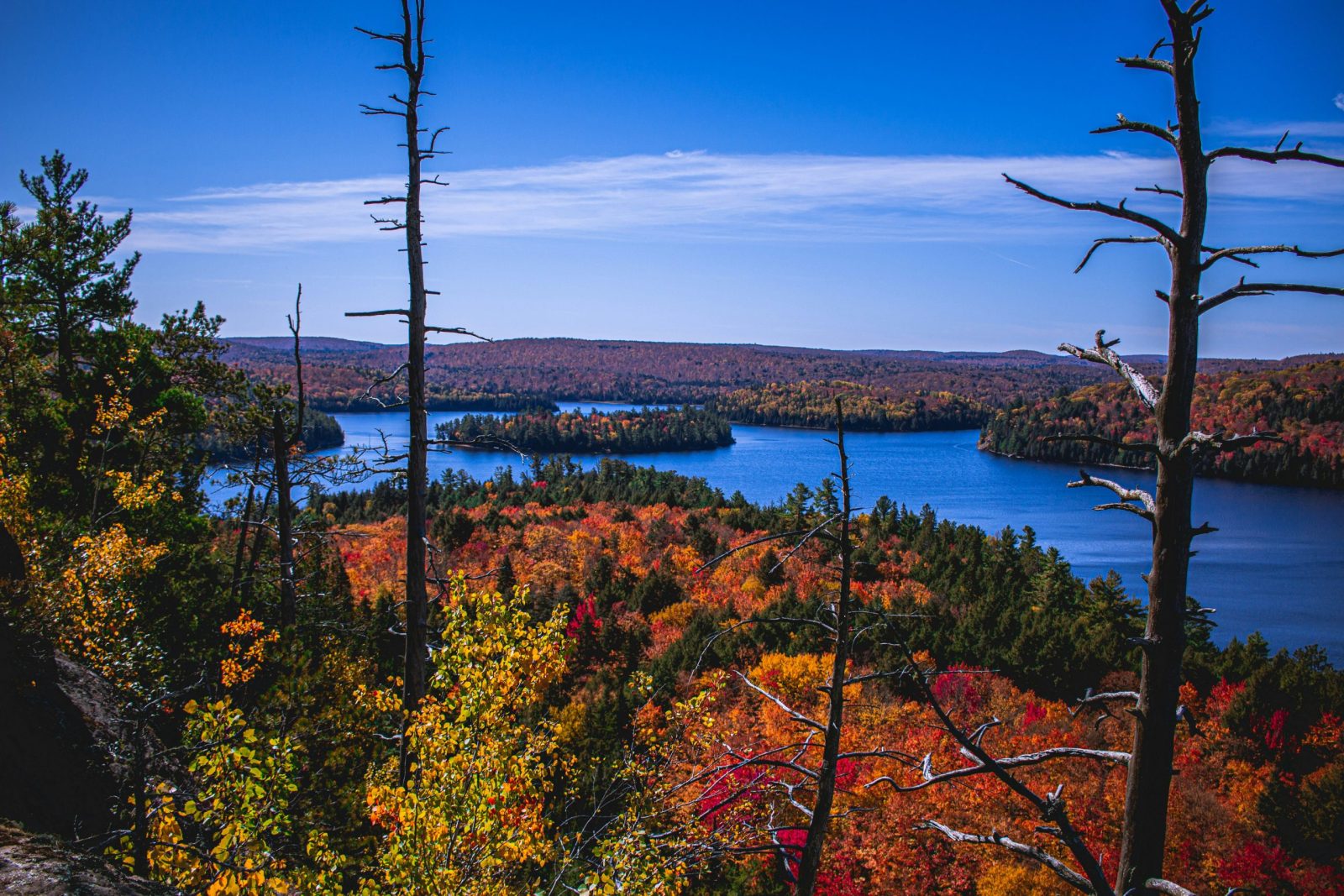 Canadá en otoño, un viaje entre bosques de colores